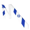 Israel Flag Neck Ties - Image 3